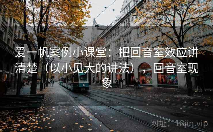 爱一帆案例小课堂：把回音室效应讲清楚（以小见大的讲法），回音室现象