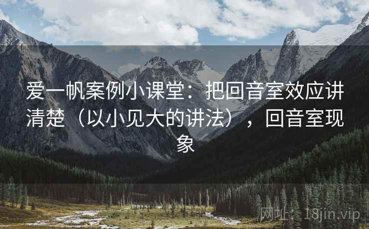 爱一帆案例小课堂：把回音室效应讲清楚（以小见大的讲法），回音室现象