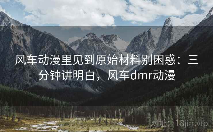 风车动漫里见到原始材料别困惑：三分钟讲明白，风车dmr动漫