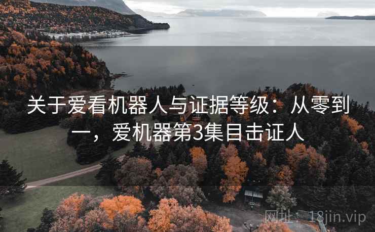关于爱看机器人与证据等级：从零到一，爱机器第3集目击证人